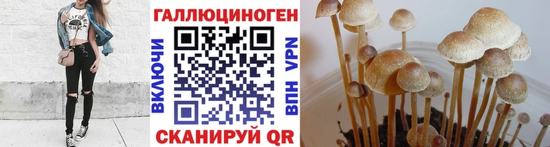 Галлюциногенные грибы ЛСД Пенза