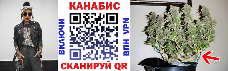 Купить закладки  Пенза  Шишки марихуана Amnesia 